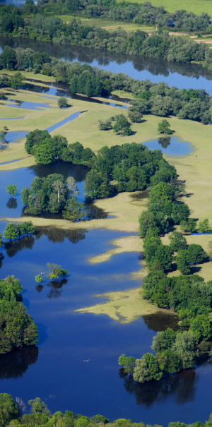 NATURE PARK LONJSKO POLJE