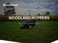 Frontpage screenshot for site: Gordon seter - Woodland Hoppers (http://www.woodlandhoppers.com)