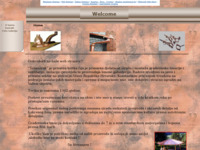 Frontpage screenshot for site: Tehnozrak (http://tehnozrak.pondi.hr)