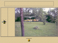 Frontpage screenshot for site: Med iz pčelinjaka Mlikota (http://free-zg.htnet.hr/pcelarstvo/)