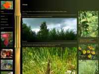 Frontpage screenshot for site: Bambus, ljekovito i ukrasno bilje, hortikultura (http://free-zg.htnet.hr/vivax/)