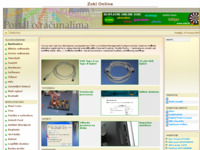 Frontpage screenshot for site: Zoki Online (http://www.zokionline.com)