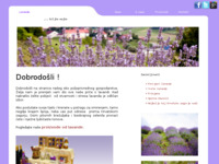 Slika naslovnice sjedišta: Lavanda - biljka majka (http://www.bio-lavanda.com)