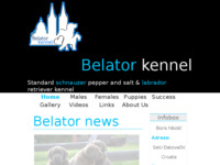 Frontpage screenshot for site: Uzgajivačnica srednjih šnaucera, papar i sol boje, te labrador retrivera (http://www.belatorkennel.com/)