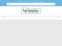 Frontpage screenshot for site: (http://fortunatus.hr)