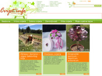 Frontpage screenshot for site: (http://www.cvijet.info/)