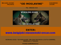 Frontpage screenshot for site: (http://free-sk.t-com.hr/Malinois-GR)