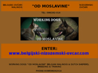 Frontpage screenshot for site: Uzgajivačnica belgijskih ovčara (http://free-sk.t-com.hr/Malinois-GR)