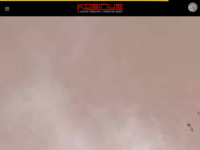 Frontpage screenshot for site: Kosinus marketing, internet i ostale usluge (http://www.kosinus.hr/)