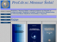 Frontpage screenshot for site: (http://free-zg.htnet.hr/MensurSehic/)