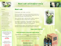 Frontpage screenshot for site: (http://www.noni-sok.savjeti.com)